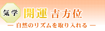 �C�w�@�J�^�g���ʁ@���R�̃��Y�����������